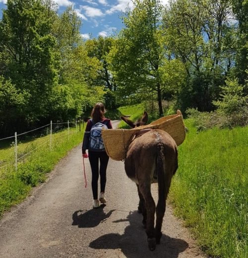 3b2eaef099a5cff2384e8ecbab63cf49.0